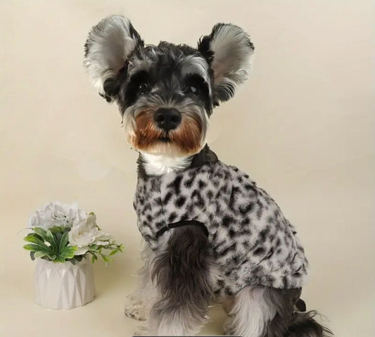 Chaleco Tigre Siberiano Small (perros y gatos chicos).