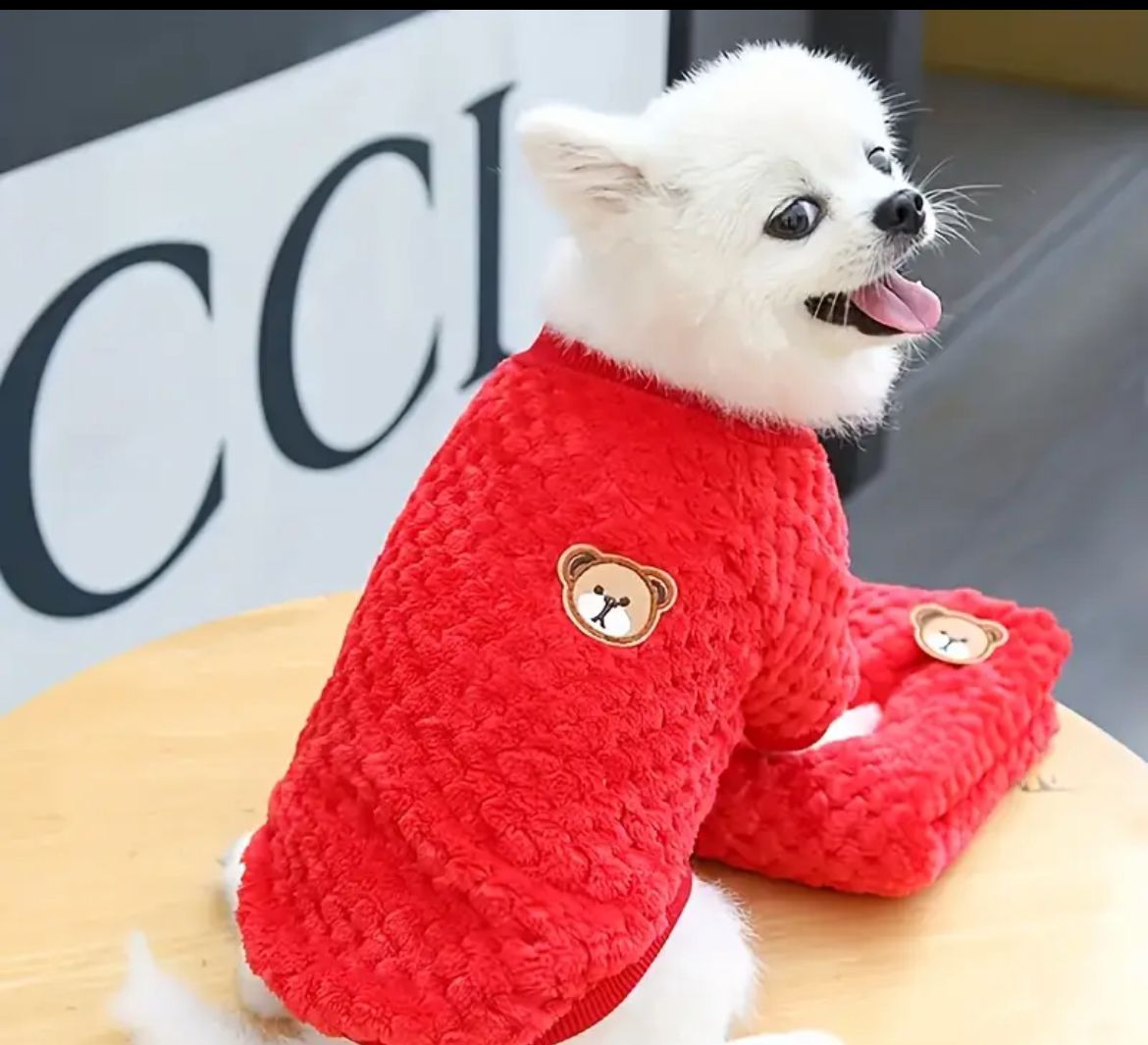 Suéter Osito Teddy Rojo Mediano (perros y gatos chicos)