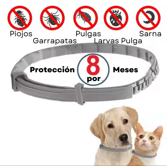 Collar Repelente para Mascotas Pequeñas - Elimina y Repele Pulgas y Garrapatas Sin Olor, No Grasoso, Seguro para Perros y Gatos - Hasta 8 Meses de Protección.