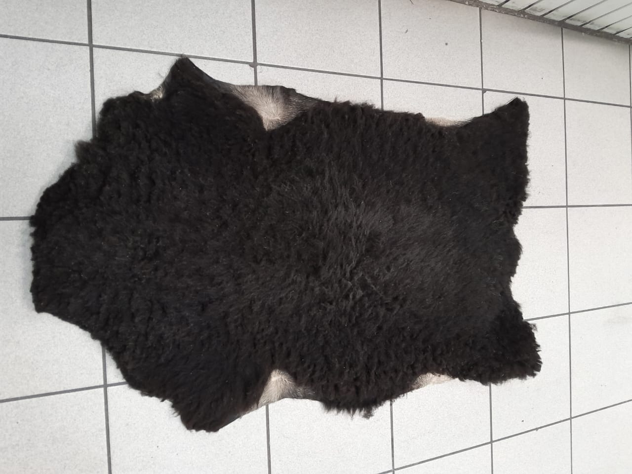 Zalea Negra (Piel de borrego isotermica)